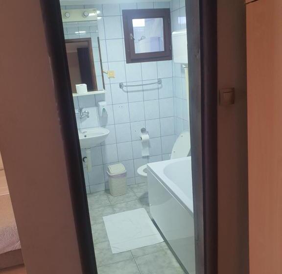 پانسیون Guest House Vila Bor