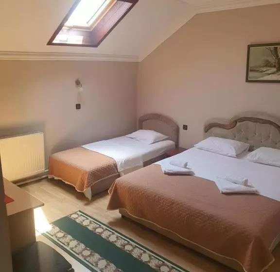 پانسیون Guest House Vila Bor