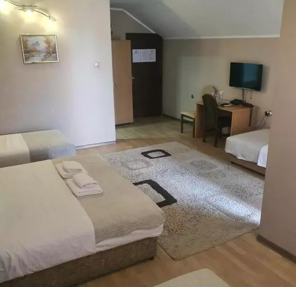 پانسیون Guest House Vila Bor