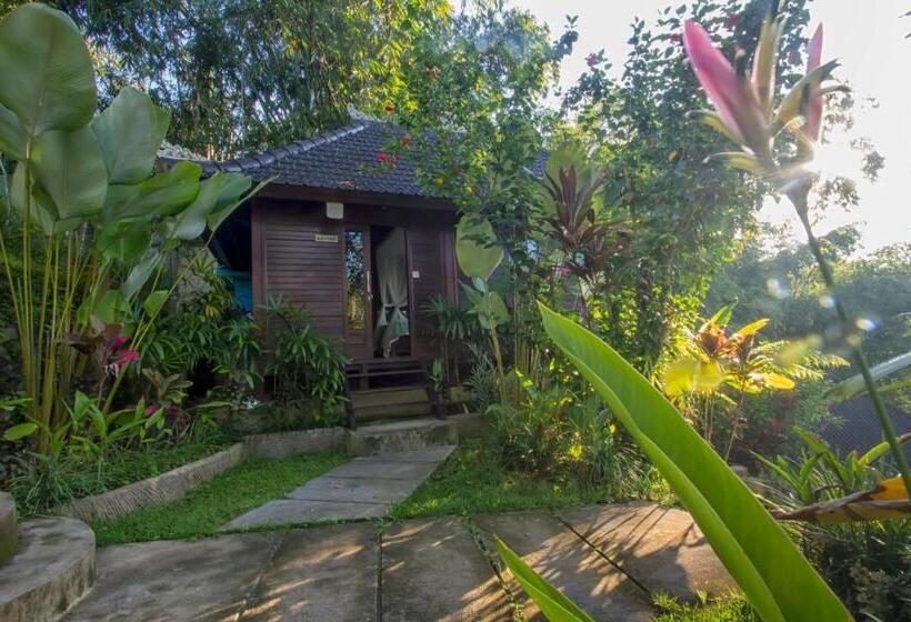 Пансион Villa Wedang