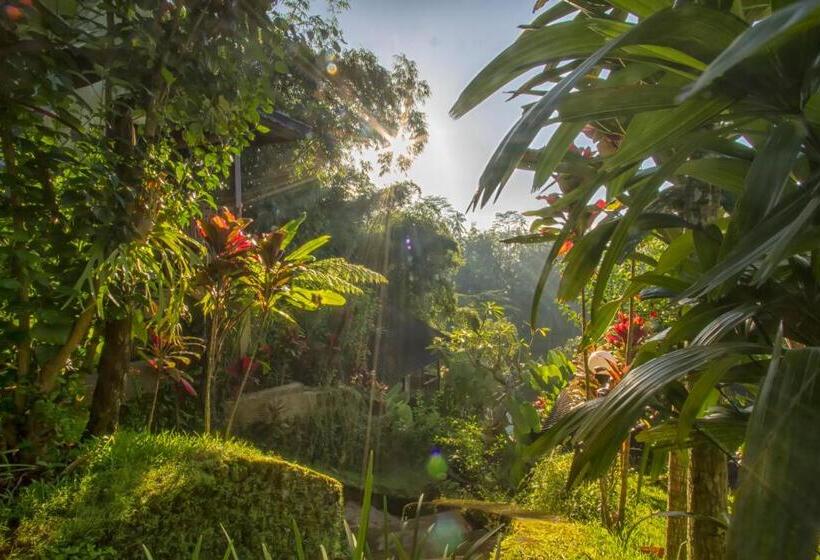 Пансион Villa Wedang