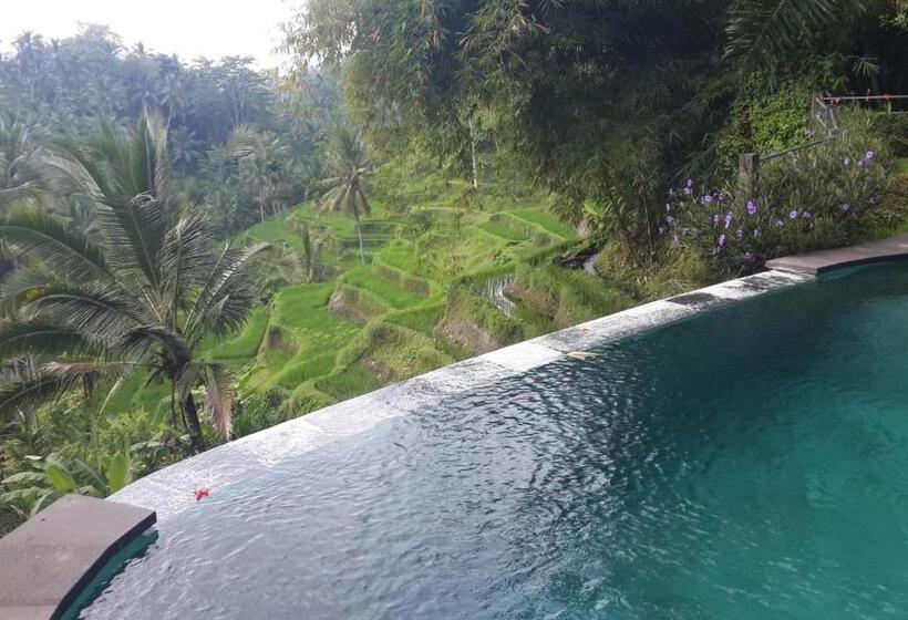 Пансион Villa Wedang