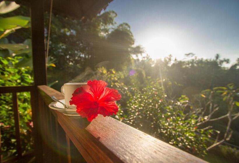 Пансион Villa Wedang