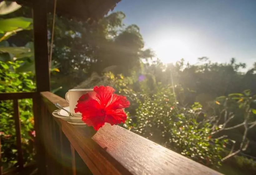 Majatalo Villa Wedang