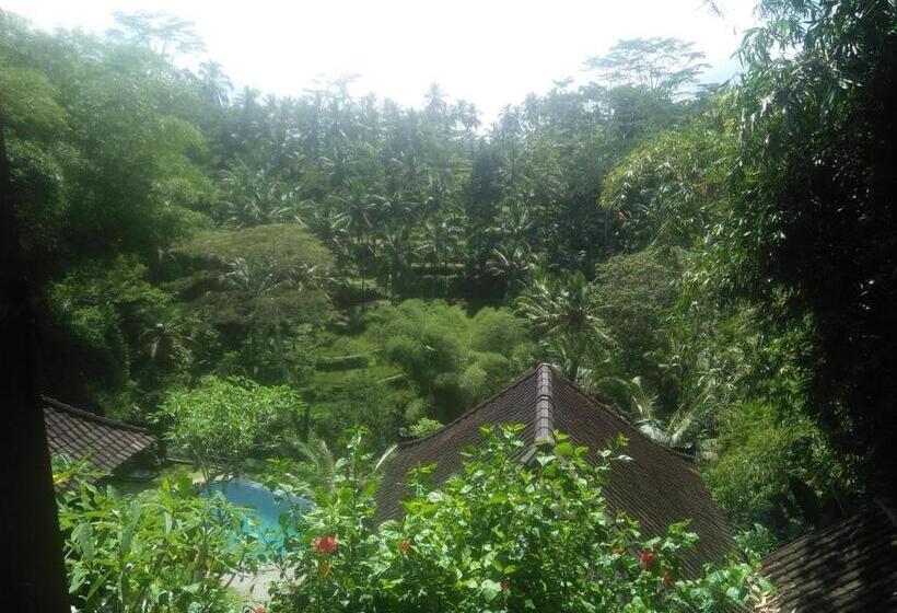 Пансион Villa Wedang