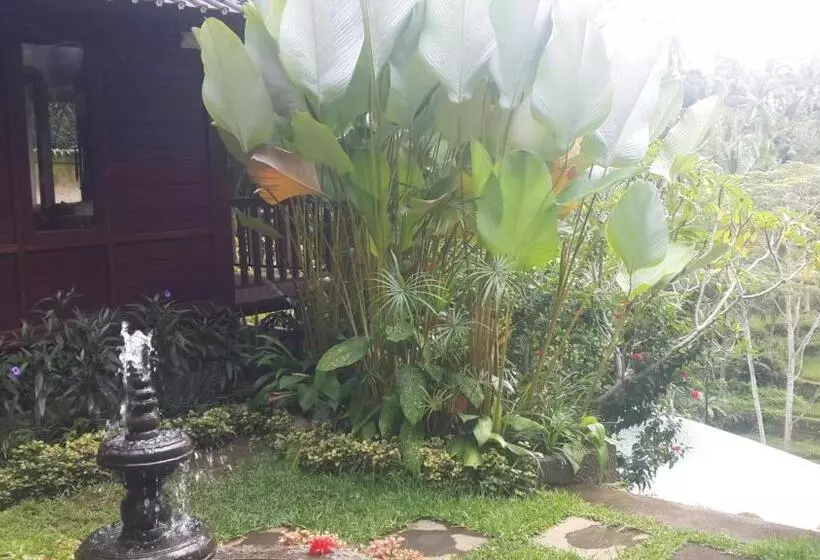 Majatalo Villa Wedang