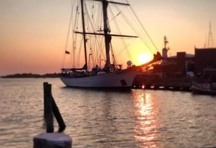 Retkeilymaja Treehouse Lodge