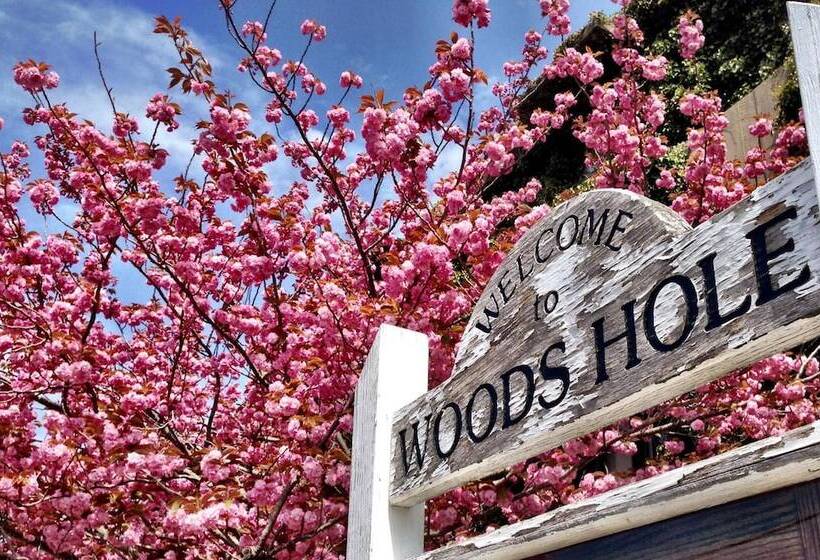 הוסטל Treehouse Lodge