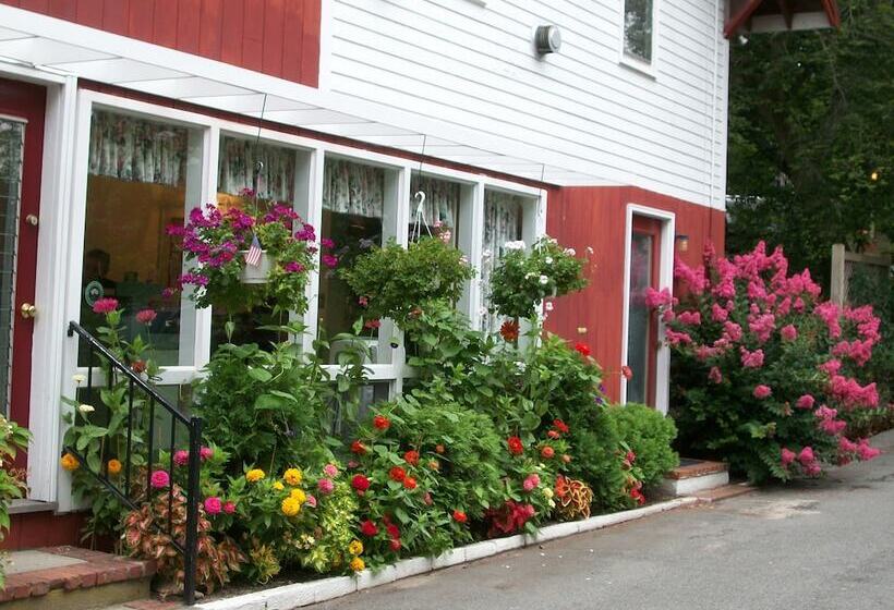 הוסטל Treehouse Lodge