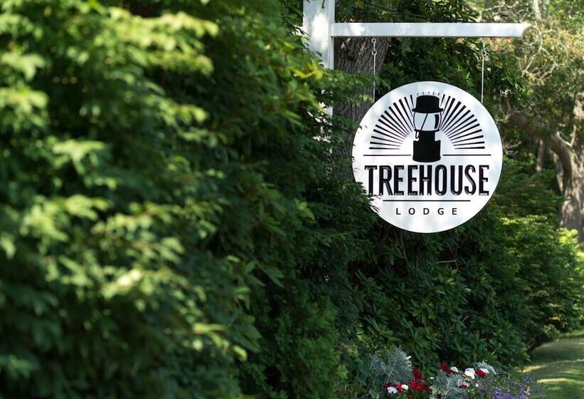 הוסטל Treehouse Lodge