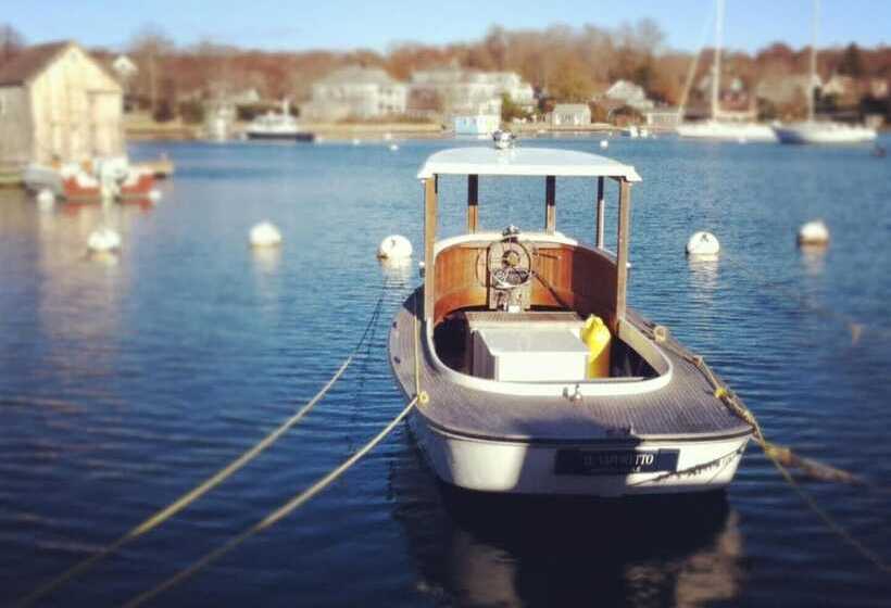 הוסטל Treehouse Lodge