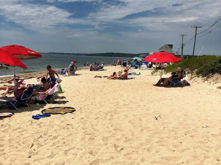 הוסטל Treehouse Lodge