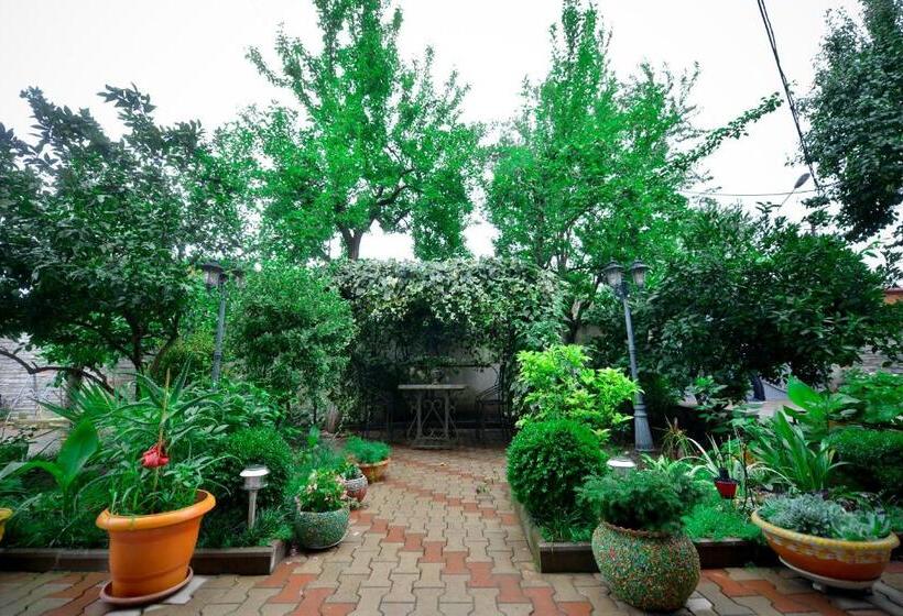 پانسیون Sofia