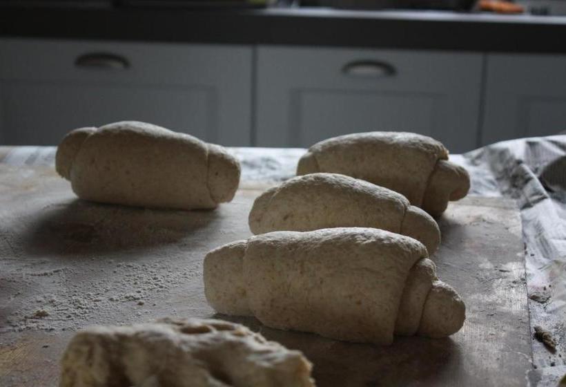 酒店 Ospitalita' Rurale Casa Cani