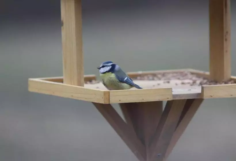 ホテル Ospitalita' Rurale Casa Cani