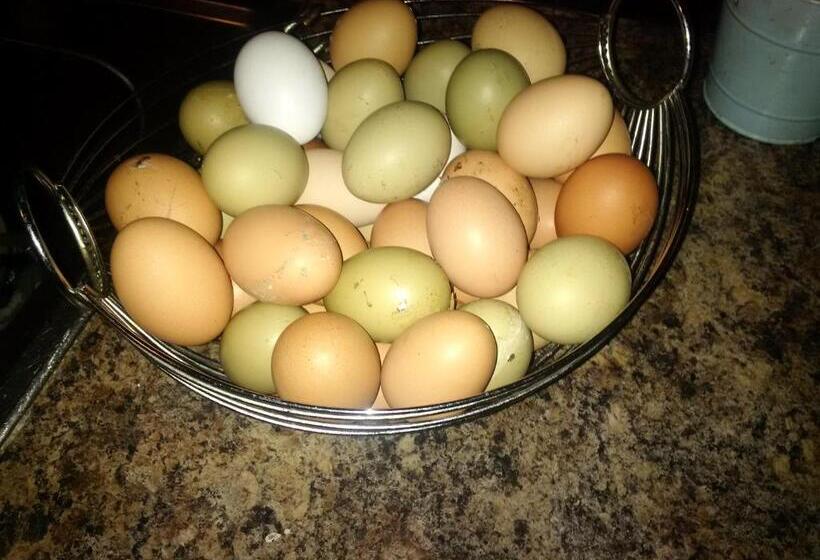 ペンション Greenlawns