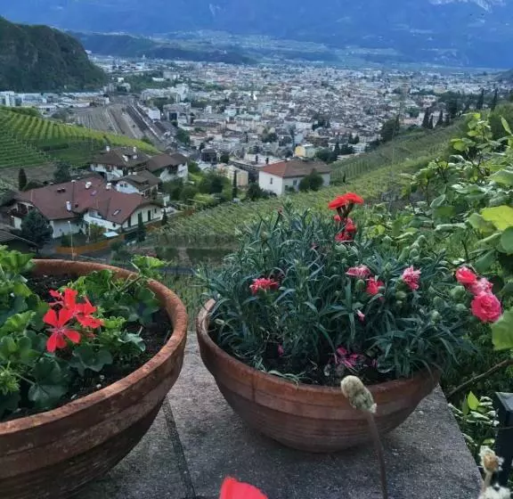 هتل Steidlerhof