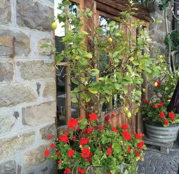 هتل Steidlerhof
