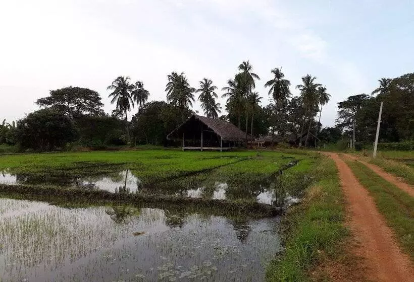 Kamatha Resort