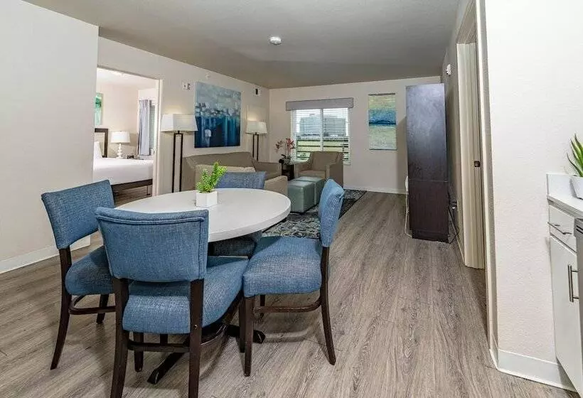Soka Suites Dallas   Las Colinas
