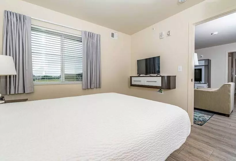 Soka Suites Dallas   Las Colinas