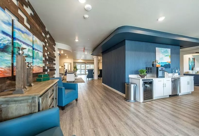 Soka Suites Dallas   Las Colinas