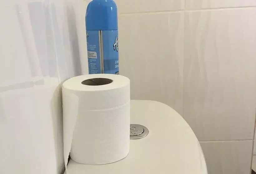 پانسیون Blomsbed Inn