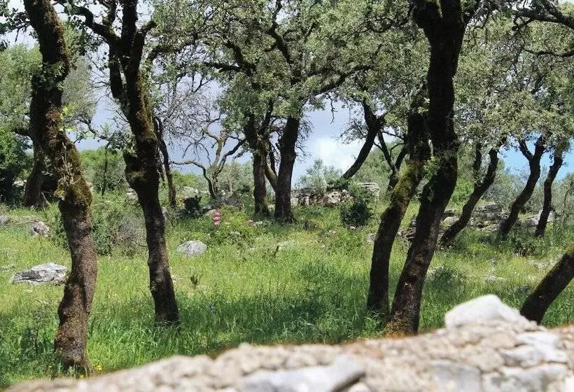 پانسیون Rito Hall Da Serra