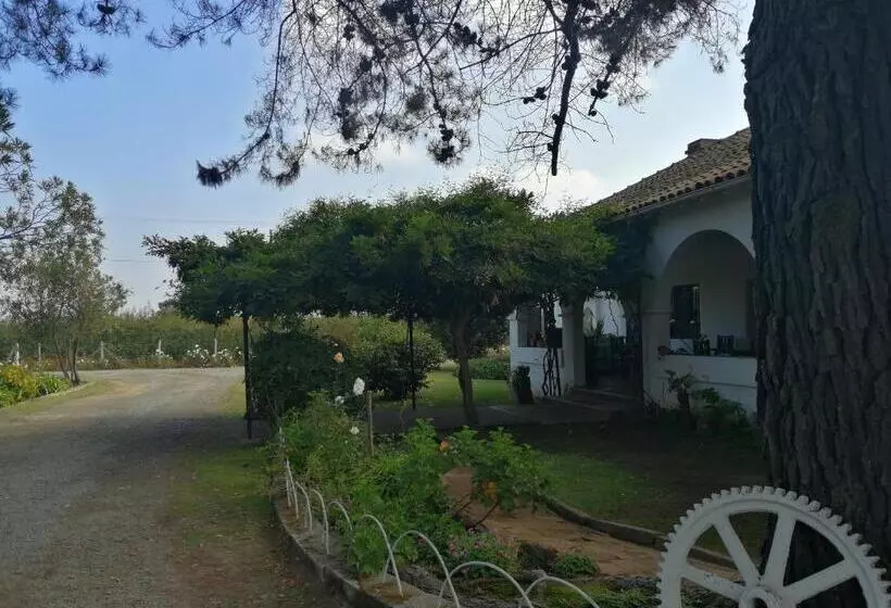 Hotelli Hostal Viña Malva