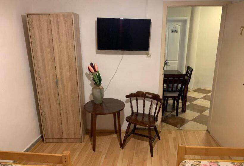 پانسیون Viktor Rooms