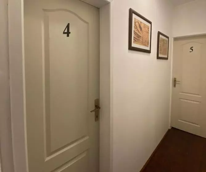 ペンション Viktor Rooms