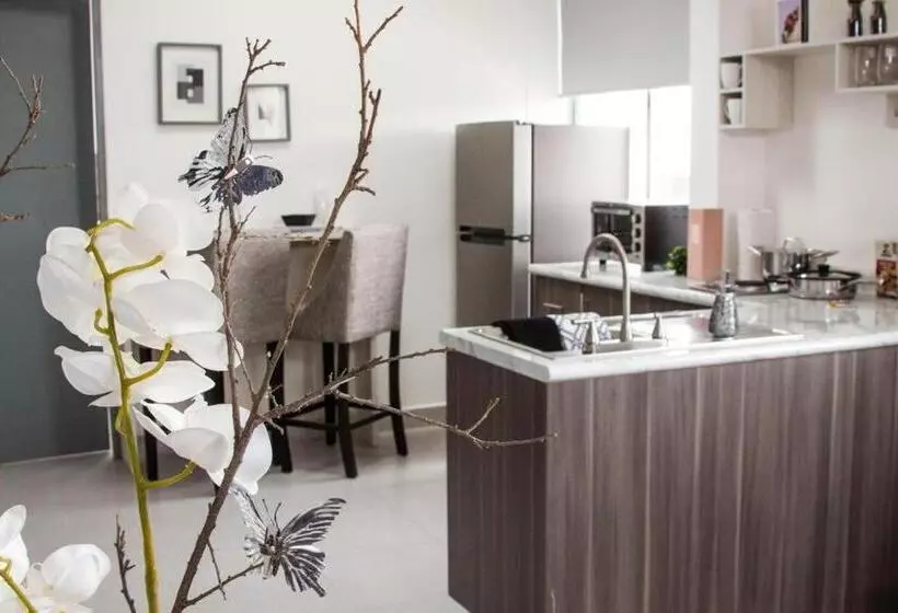 هتل Suites André Confort Ejecutivo