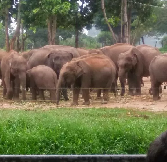 ホテル Udawalawe Wildlife & Nature Protection Bungalow