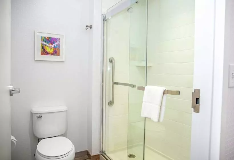 هتل Hampton Inn & Suites Bridgeview Chicago