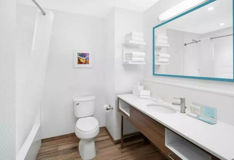 هتل Hampton Inn & Suites Bridgeview Chicago