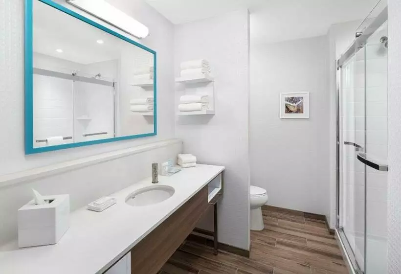 هتل Hampton Inn & Suites Bridgeview Chicago