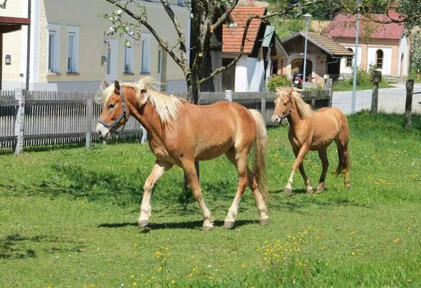 ホテル Gschwendnerhof Reitberger Brandl