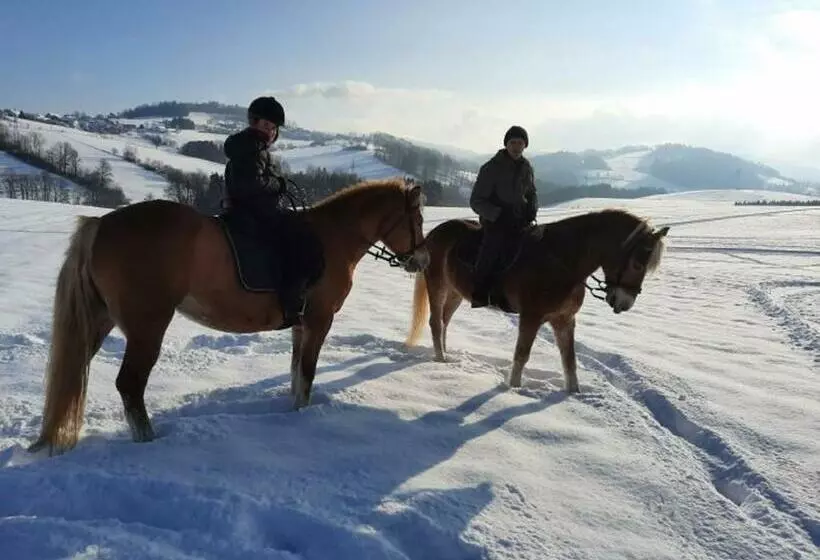 ホテル Gschwendnerhof Reitberger Brandl