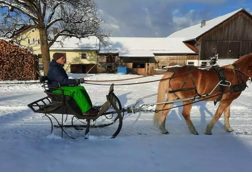 ホテル Gschwendnerhof Reitberger Brandl