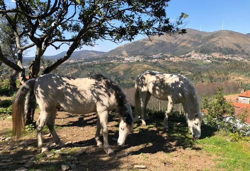 민박 Arrabia Guest Houses Glamping