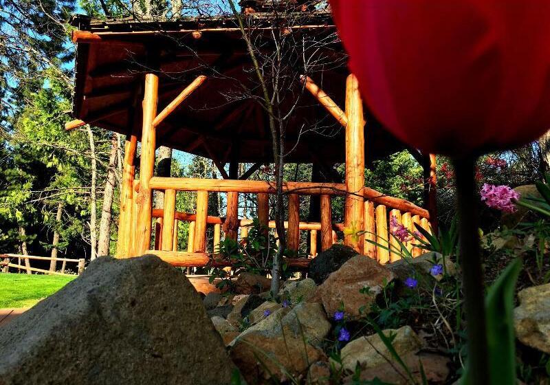 酒店 Callahan S Mountain Lodge