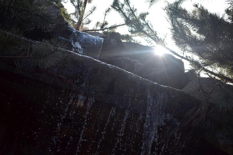 酒店 Callahan S Mountain Lodge