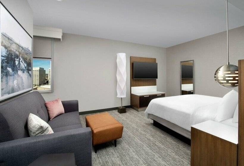 فندق Embassy Suites By Hilton Knoxville Downtown