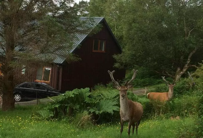 Aamiaismajoitus (B&B) Bonnie Haven