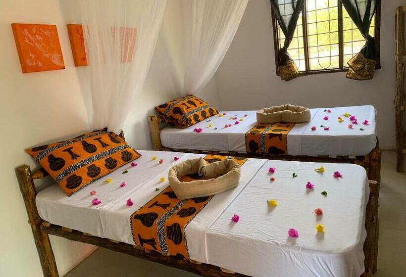 Пансион More Africa Guesthouse