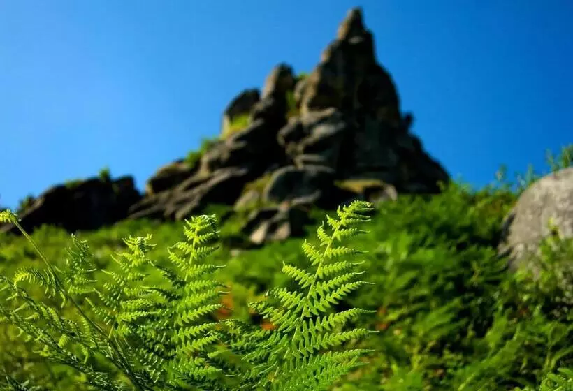 Baron Spa Hotel   Museum Yaremche