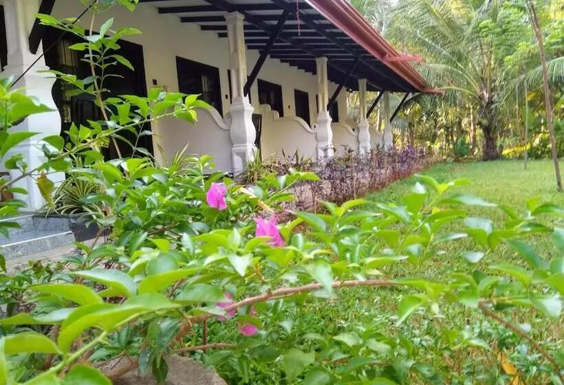 ベッドアンドブレックファースト Amron Resort Sigiriya