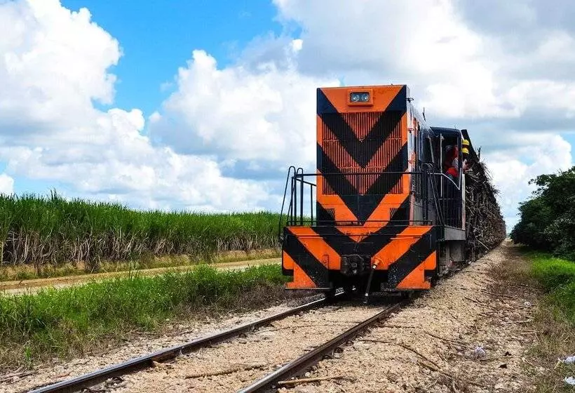 Aamiaismajoitus (B&B) Campito Loving