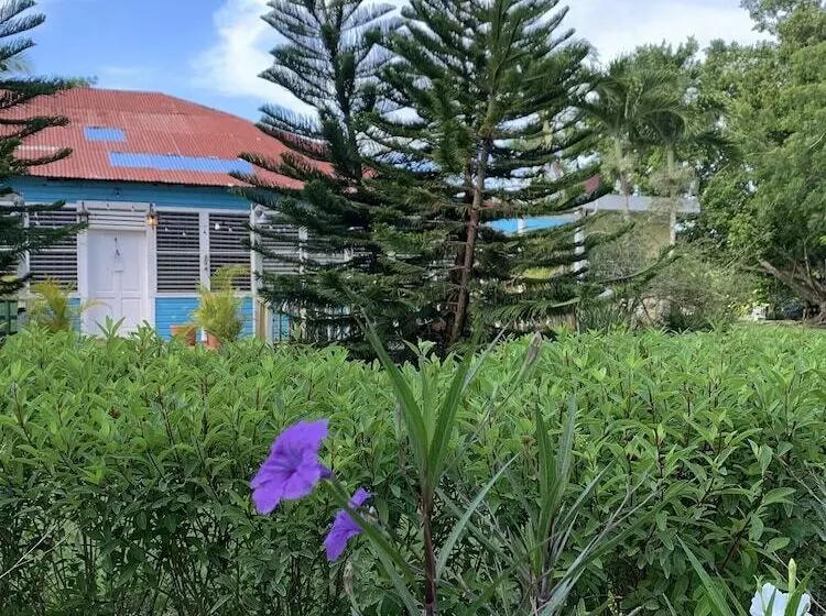 Aamiaismajoitus (B&B) Campito Loving