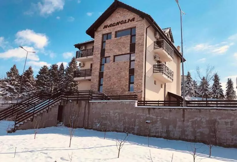 Pensiunea Magnolia